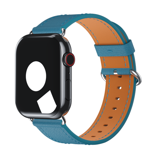 Blue Jay Classic Buckle for Apple Watch