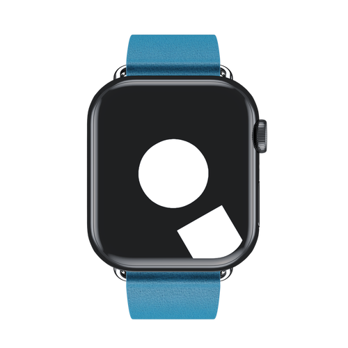 Blue Jay Modern Buckle for Apple Watch