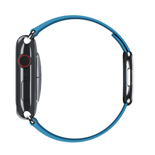 Blue Jay Modern Buckle for Apple Watch