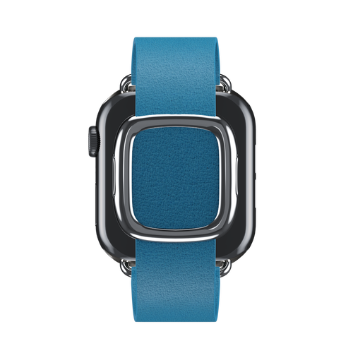 Blue Jay Modern Buckle for Apple Watch